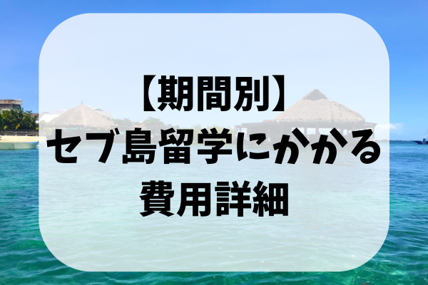 _画像