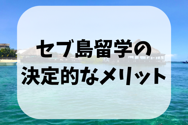 _画像