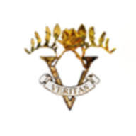 VERITAS