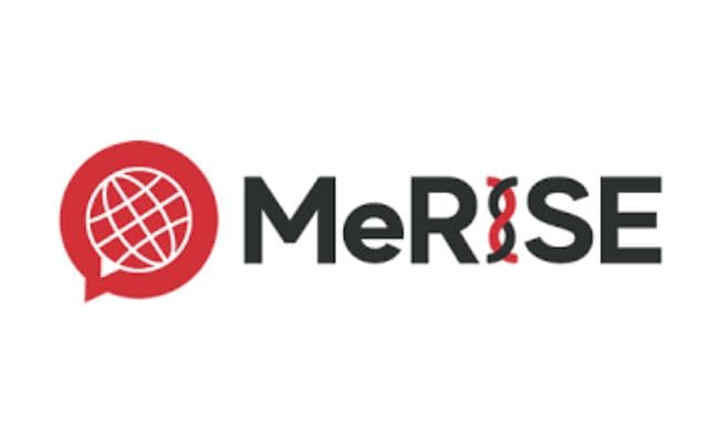 Merise logo